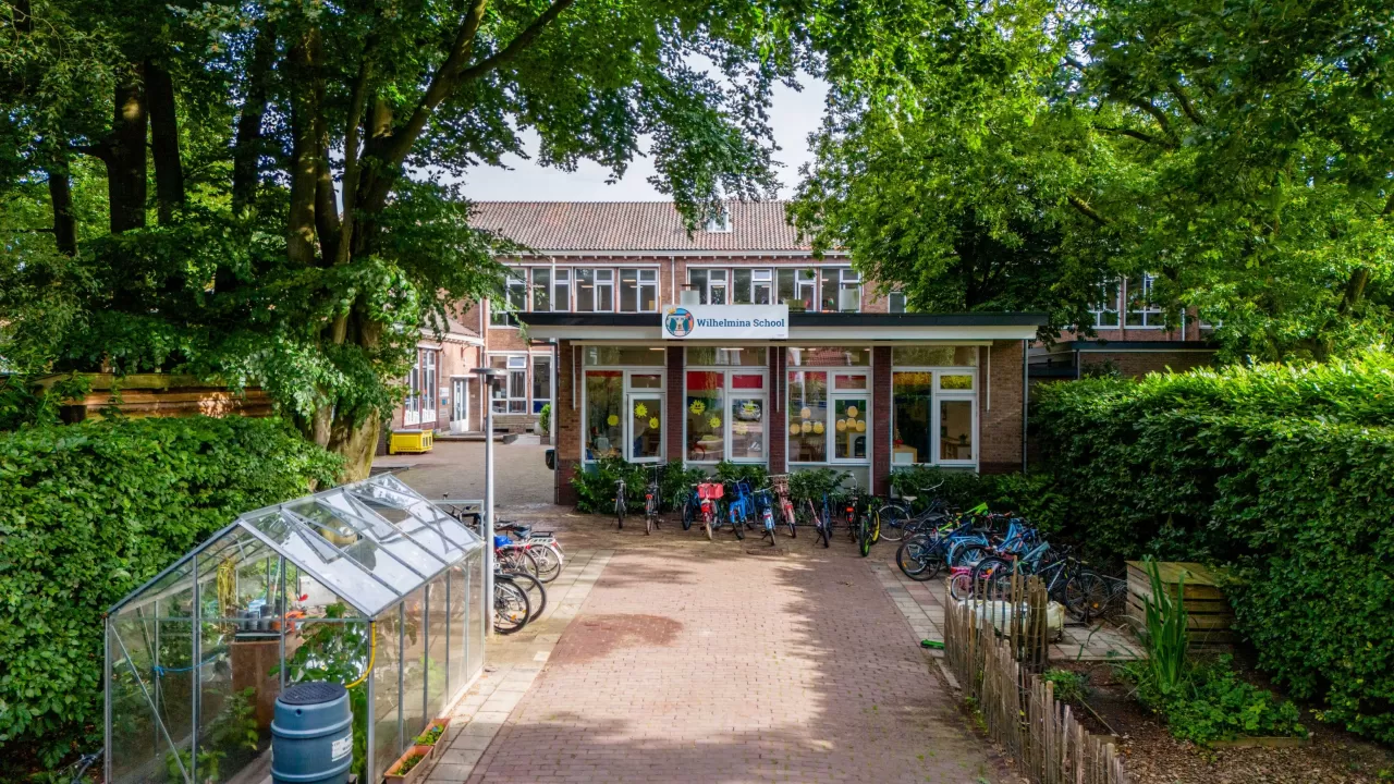 bso Wilhelmina