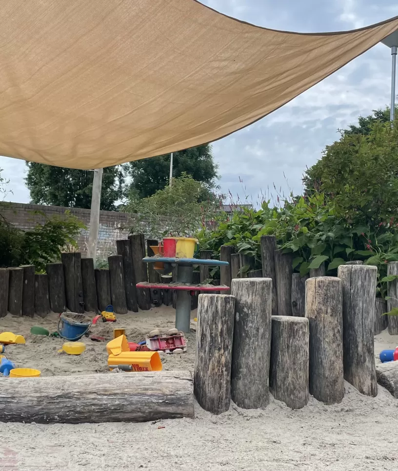 zandbak_bijenkolonie