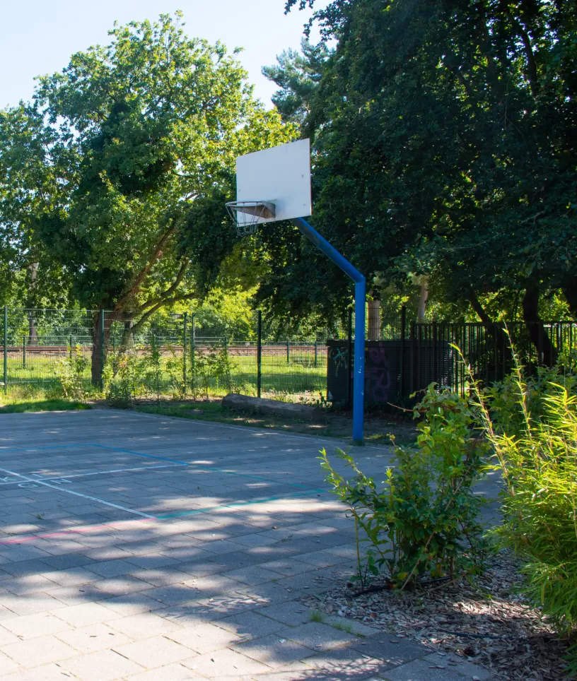 Ziezo basketbalveld