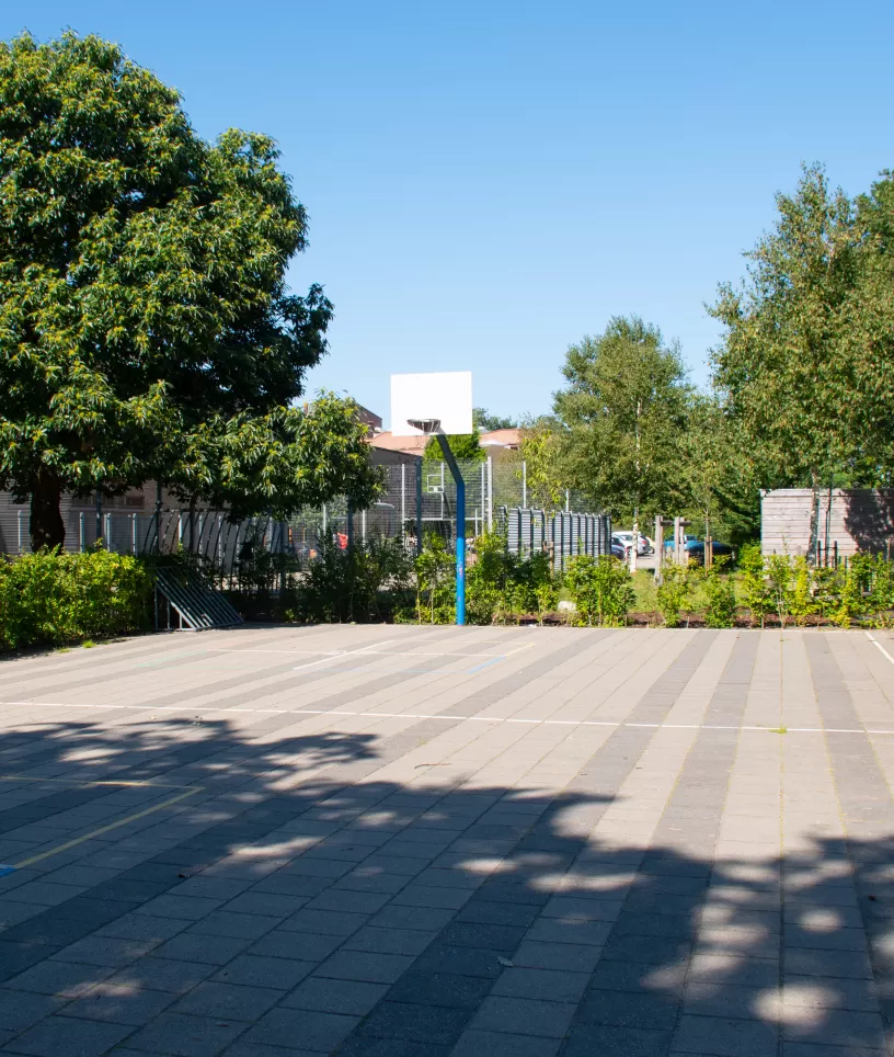 Basketbalveld Ziezo