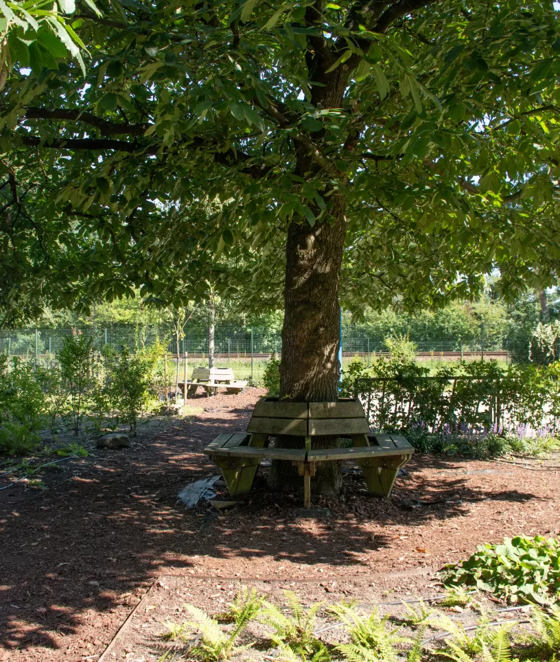 Tuin Ziezo