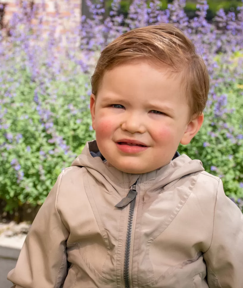Jongen achtergrond lavendel