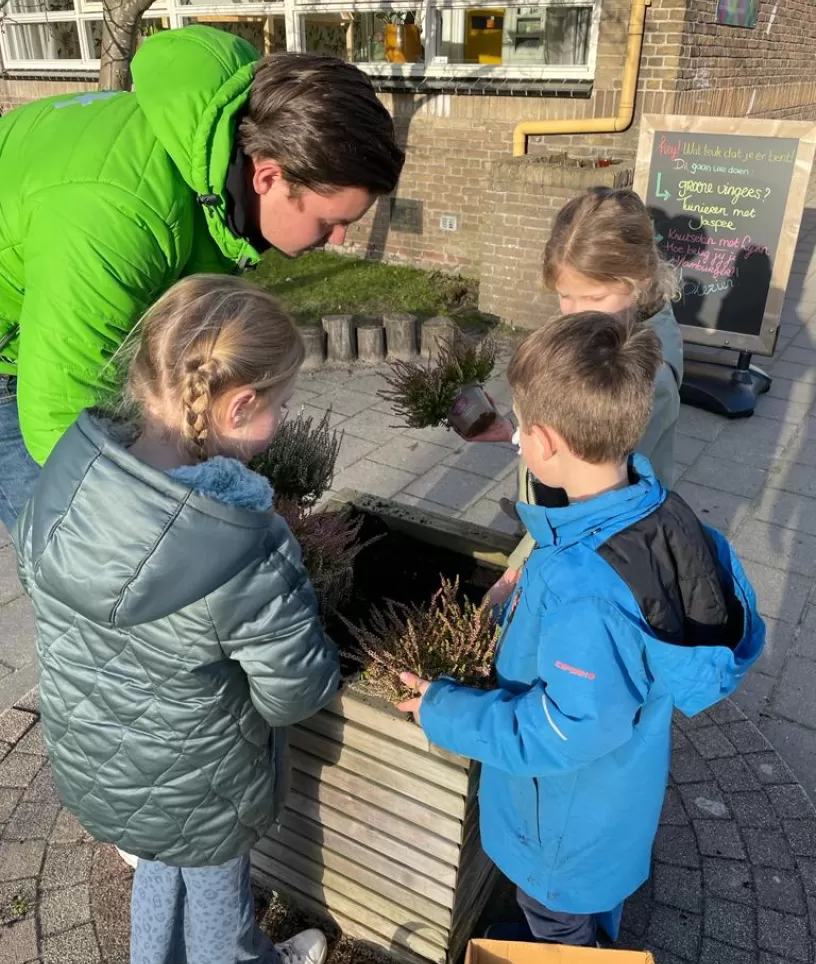 plantjes zaaien