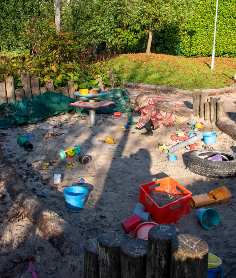 Zandbak Bijenkolonie