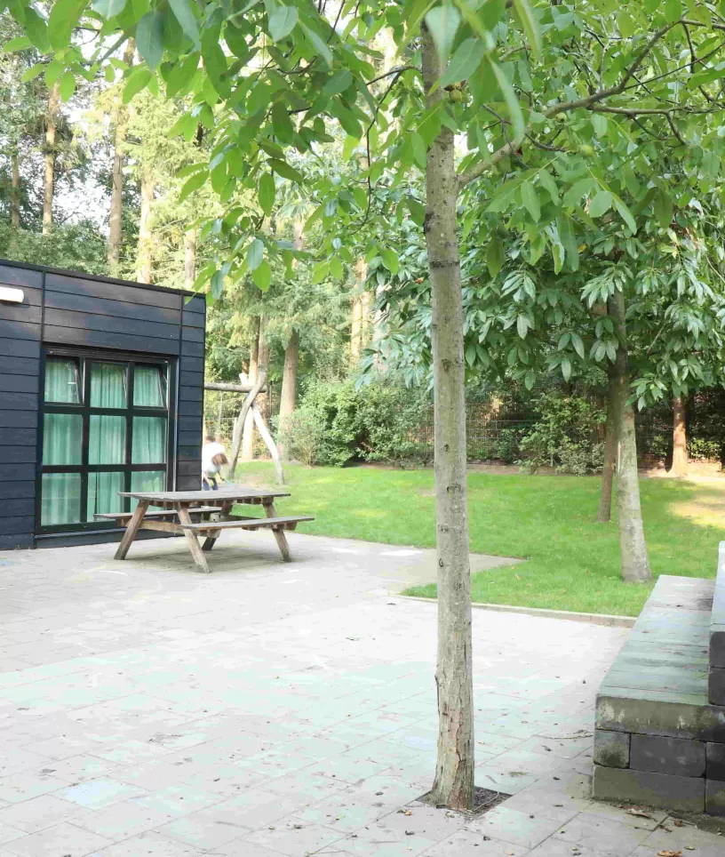 Tuin Kolhornse hei