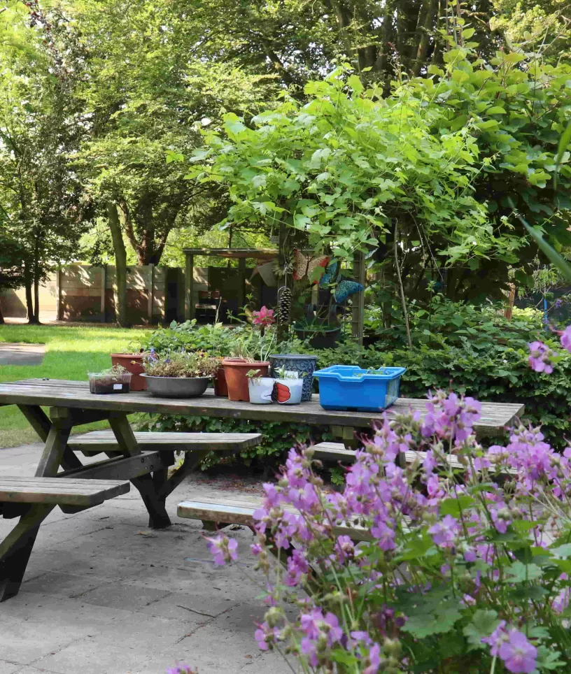 Tovertuin tuin