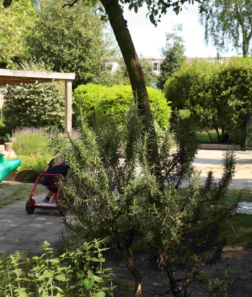 Speeldoos buitenruimte