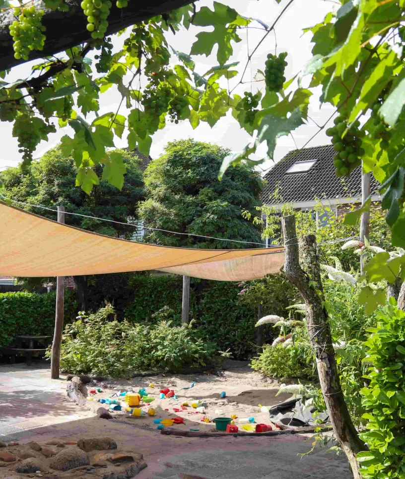 Kleine Beer zandbak