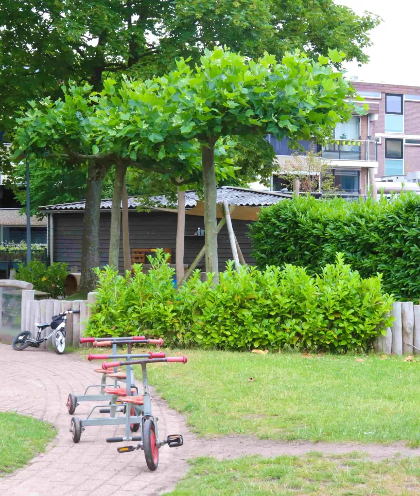 Tuin Toermalijn