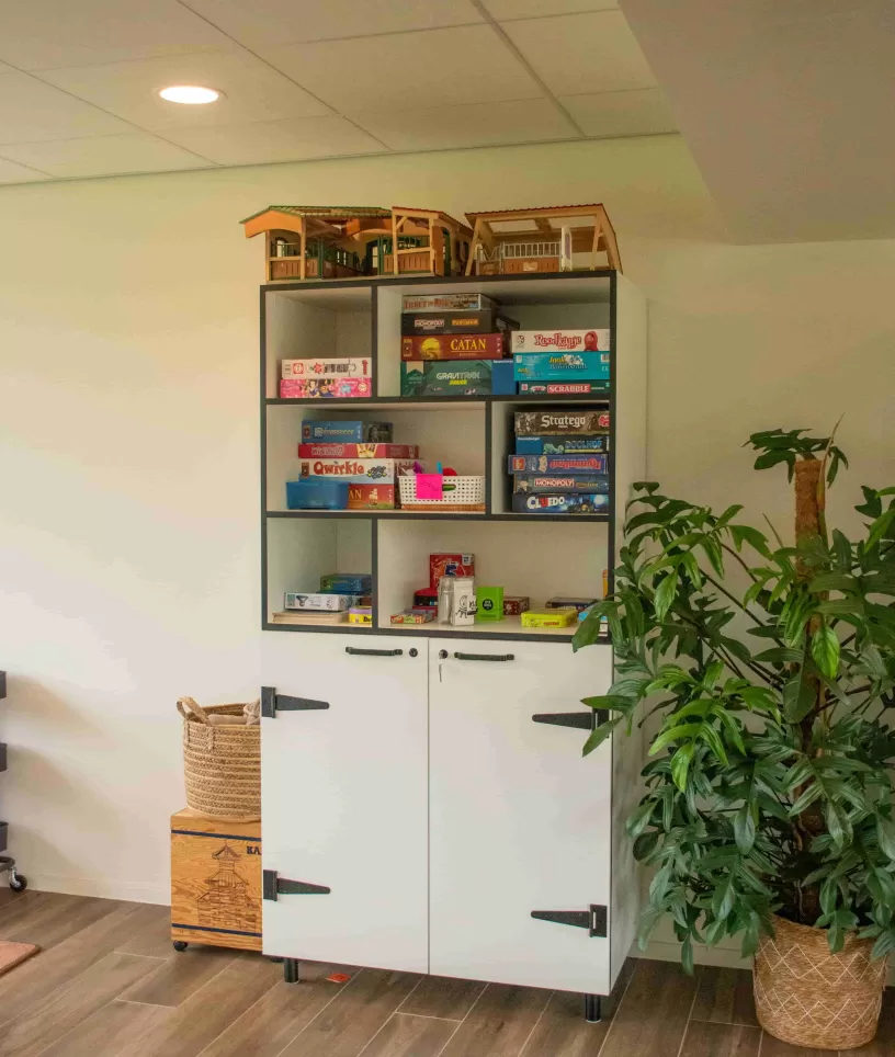 Spelletjeskast Boshut