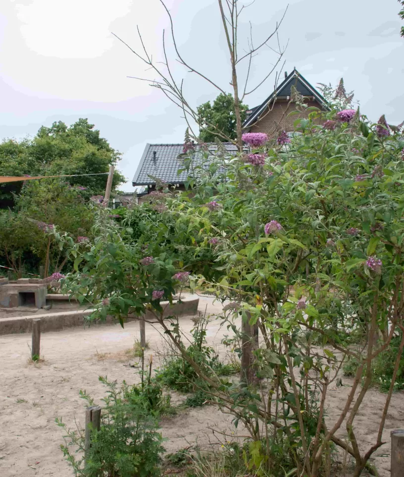 Buitenschoolse opvang Sterren buitenspeelplaats