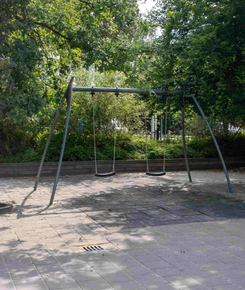 Schommel Violen