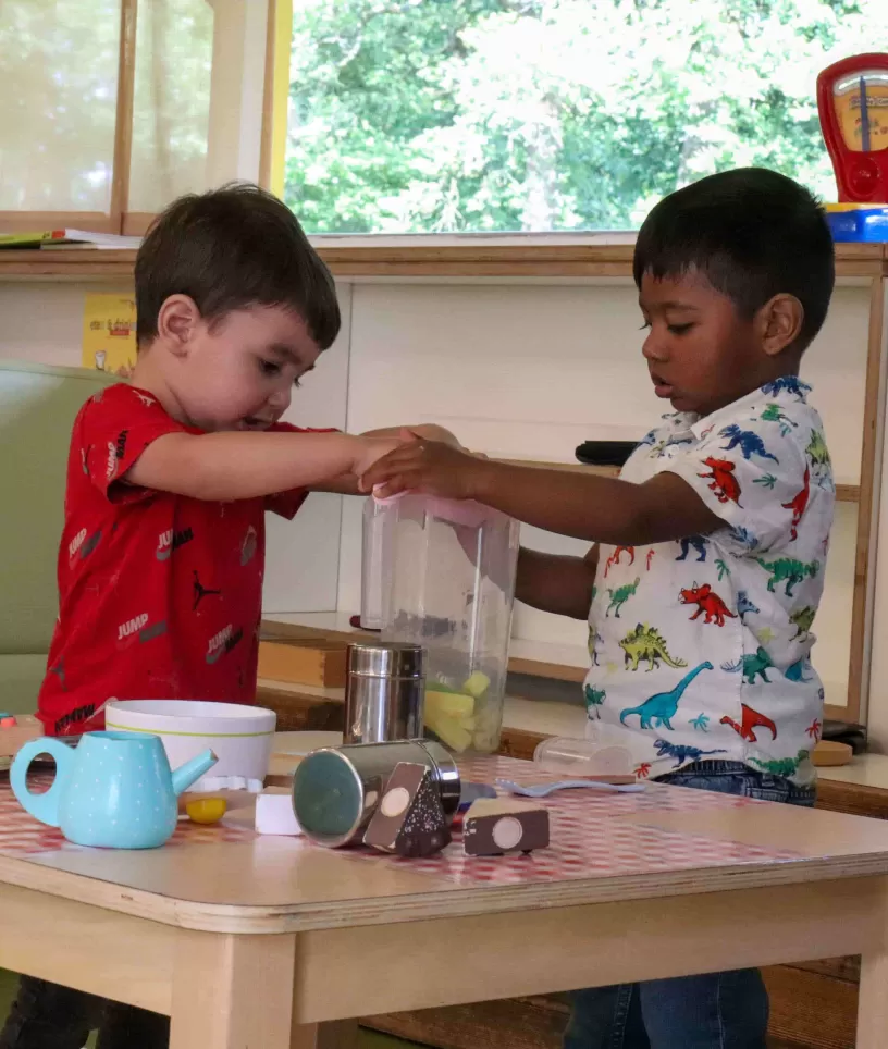 Jongens spelen met de blender