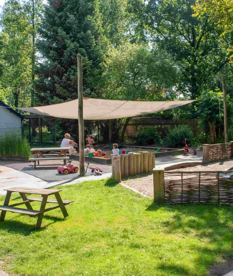 Overzicht tuin
