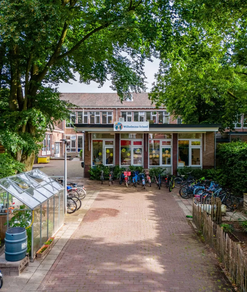 bso Wilhelmina