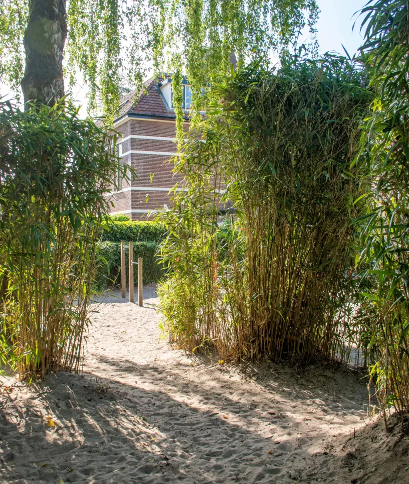 Tuin psz Mont Centrum