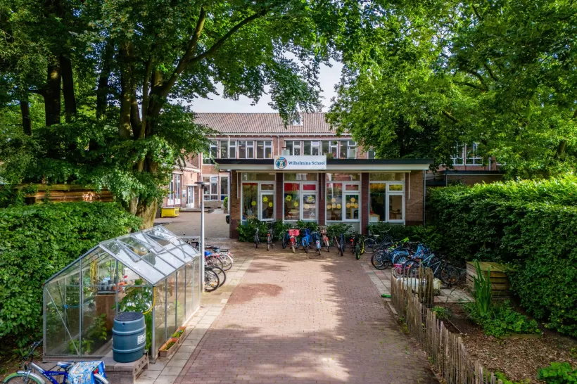 bso Wilhelmina