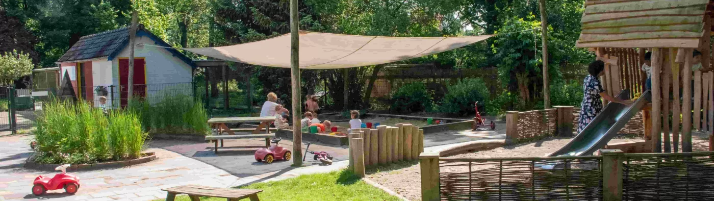 Overzicht tuin